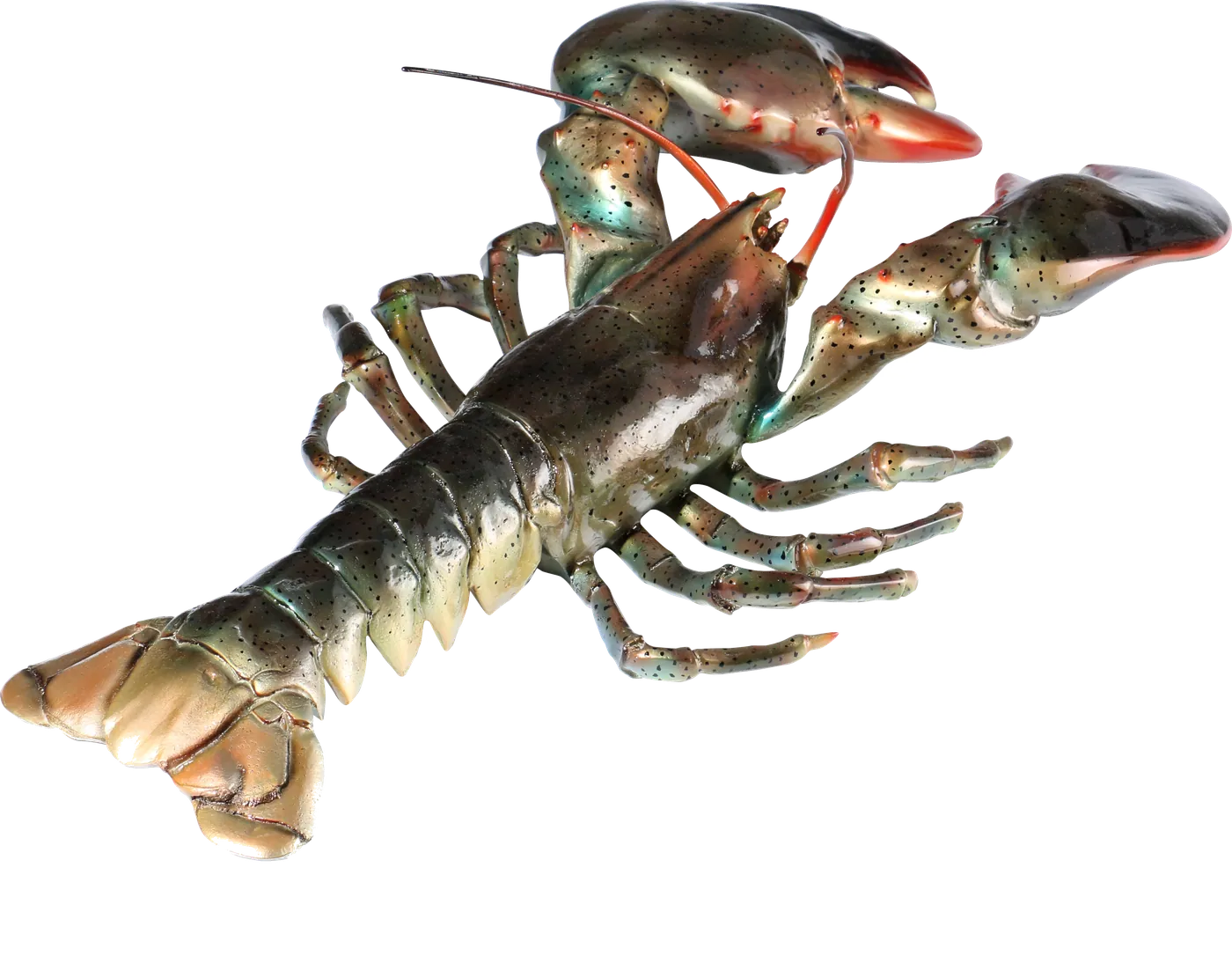Crayfish replica sculpture